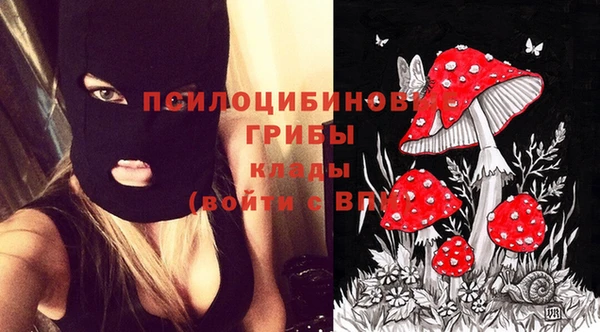 Альфа ПВП Алексин