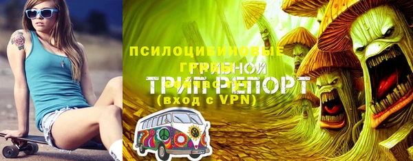 дурь Алзамай
