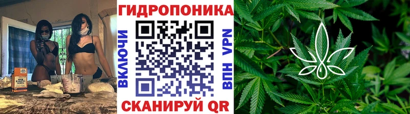 mega ССЫЛКА  купить наркоту  Елизаветинская  Шишки марихуана марихуана 
